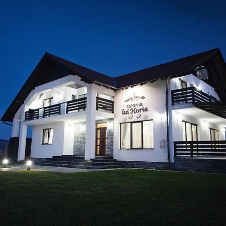 Pensiunea Conacul Lui Horia Bistriţa エクステリア 写真